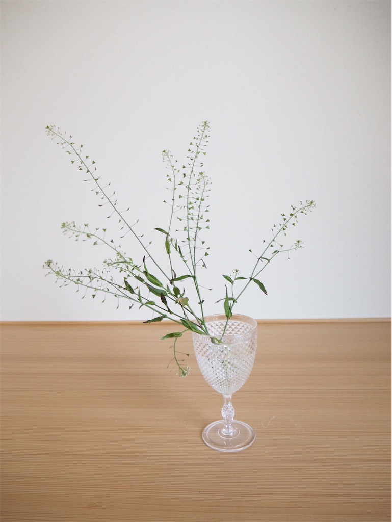 f:id:smallforest8:20200402182900j:image