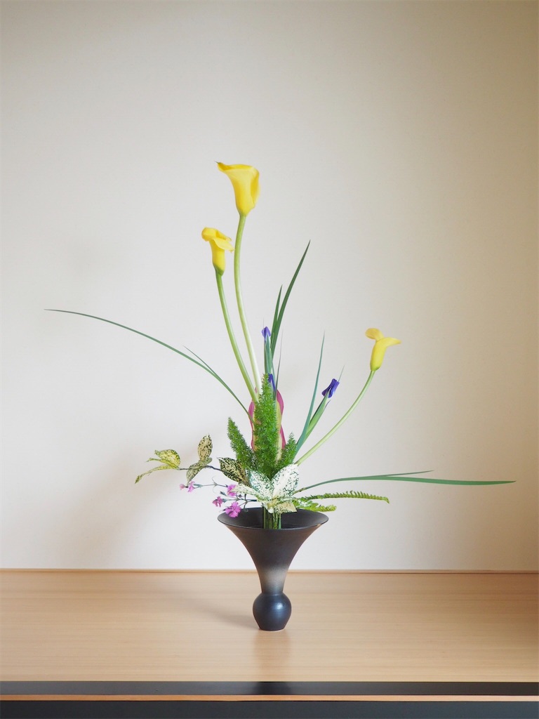 f:id:smallforest8:20200402183057j:image