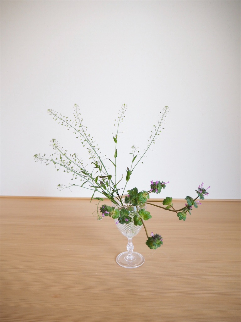 f:id:smallforest8:20200403072201j:image