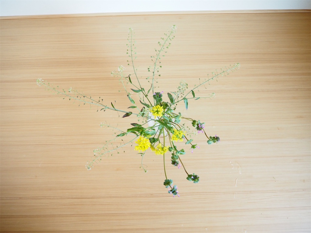 f:id:smallforest8:20200403073804j:image