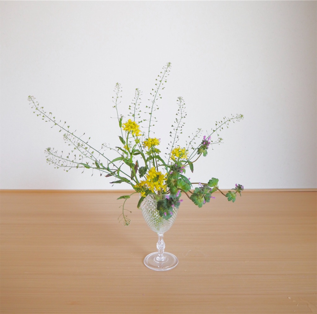 f:id:smallforest8:20200403074835j:image