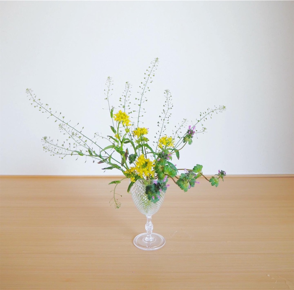f:id:smallforest8:20200404093544j:image