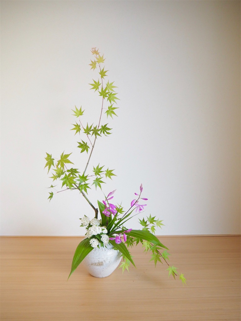 f:id:smallforest8:20200513085506j:image