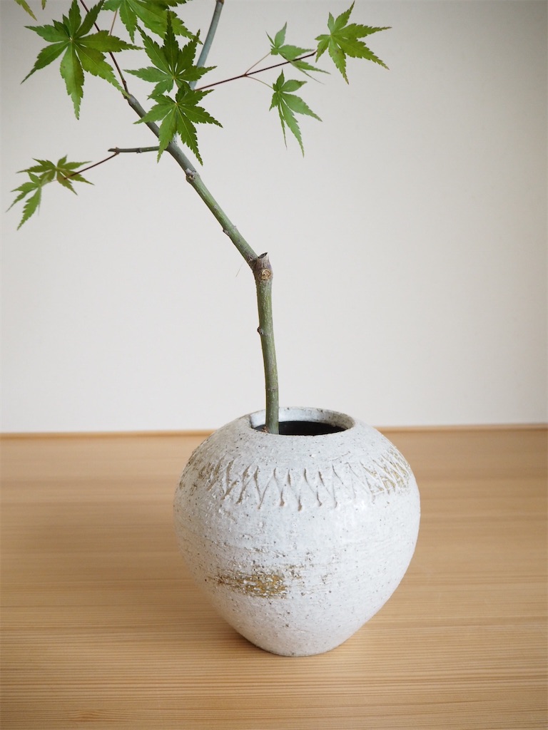 f:id:smallforest8:20200513085525j:image