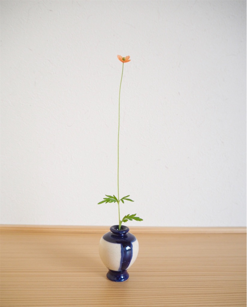 f:id:smallforest8:20200513111158j:image