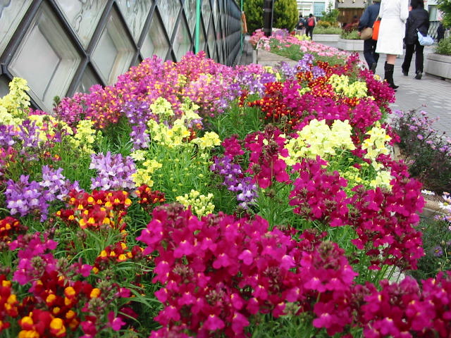 f:id:smallinfo:20171025205026j:plain