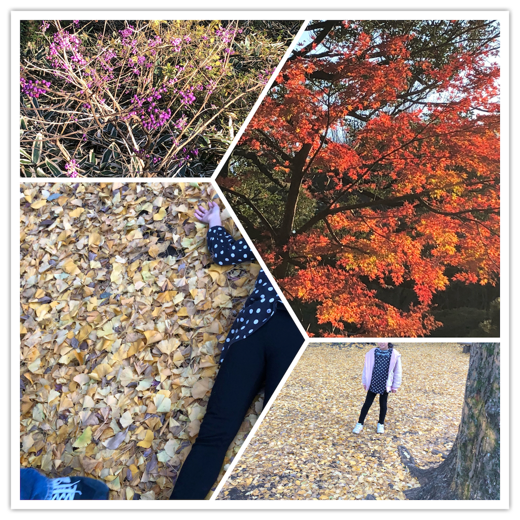 f:id:smallpalace:20190202094216p:image