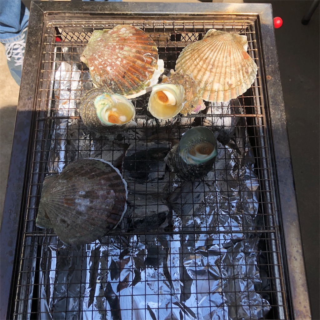 f:id:smallpalace:20190513015745j:image