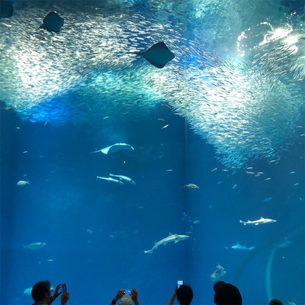 f:id:smallpalace:20190808124340j:image