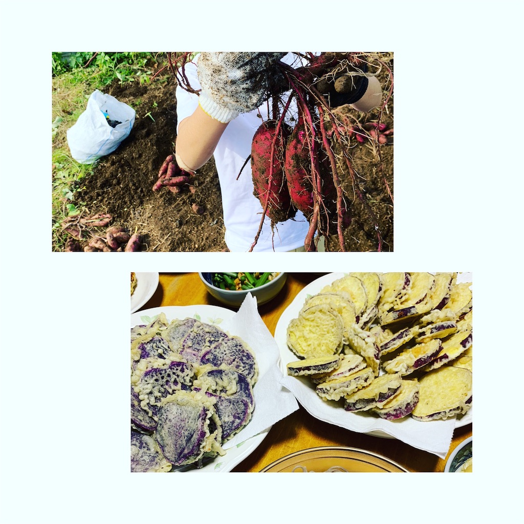 f:id:smallpalace:20191115125005j:image