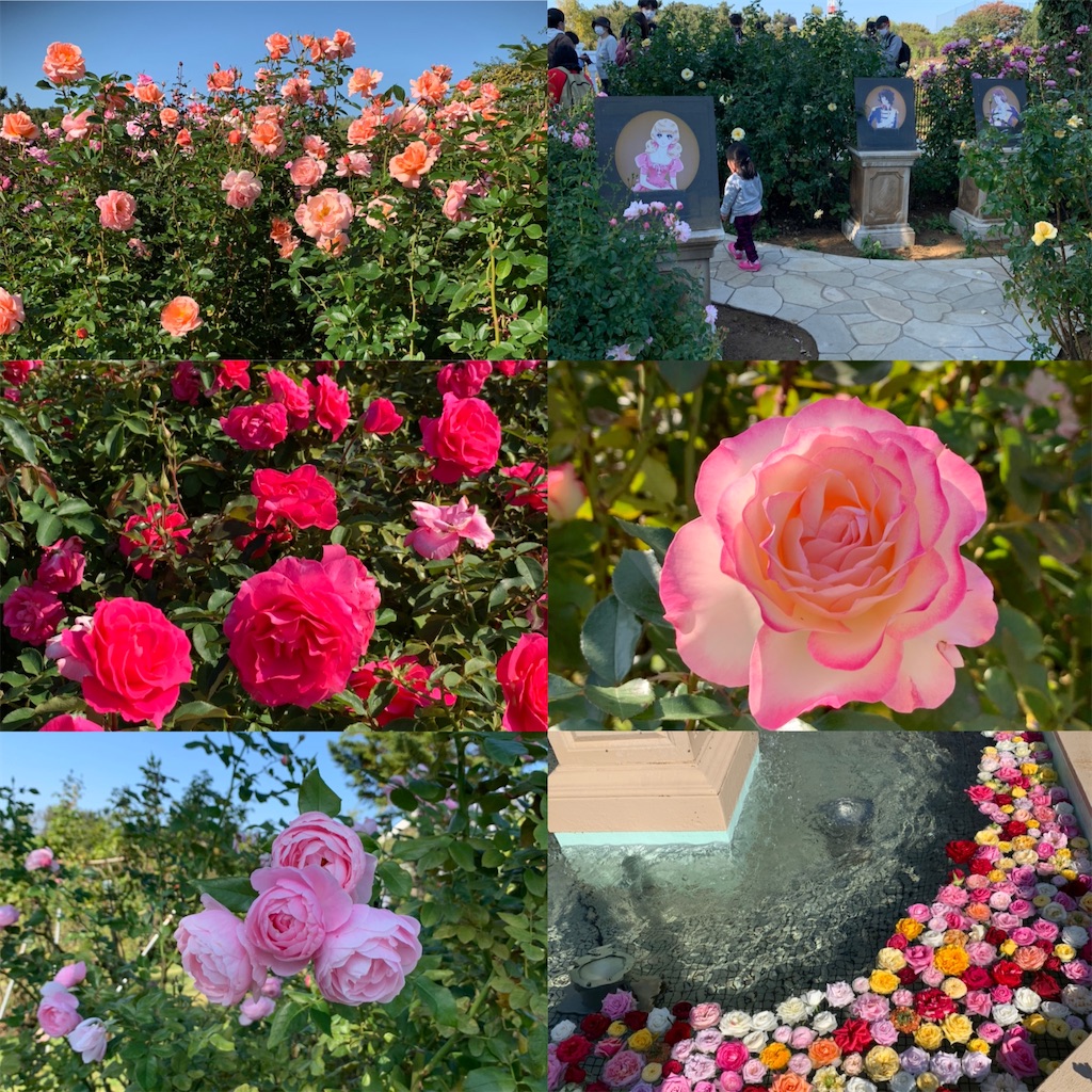 f:id:smallpalace:20201127010422j:plain