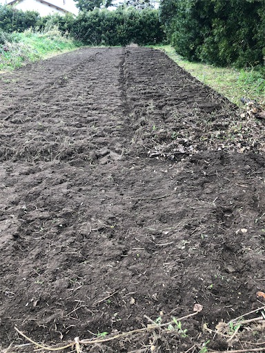 f:id:smallpine-craft:20201116152340j:image