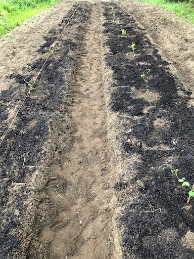 f:id:smallpine-craft:20201116155428j:image