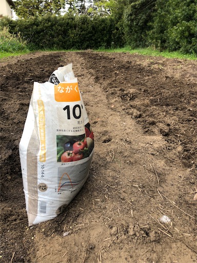 f:id:smallpine-craft:20201118123824j:image