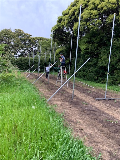 f:id:smallpine-craft:20201203103749j:image