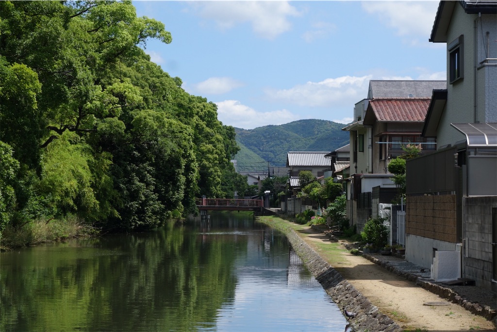 f:id:smallshade:20190618051029j:image f:id:smallshade:20190618051029j:image