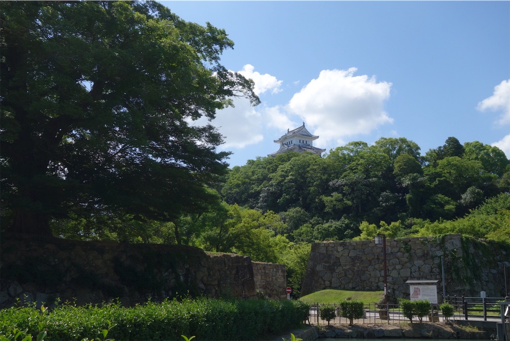 f:id:smallshade:20190618051037j:image f:id:smallshade:20190618051037j:image