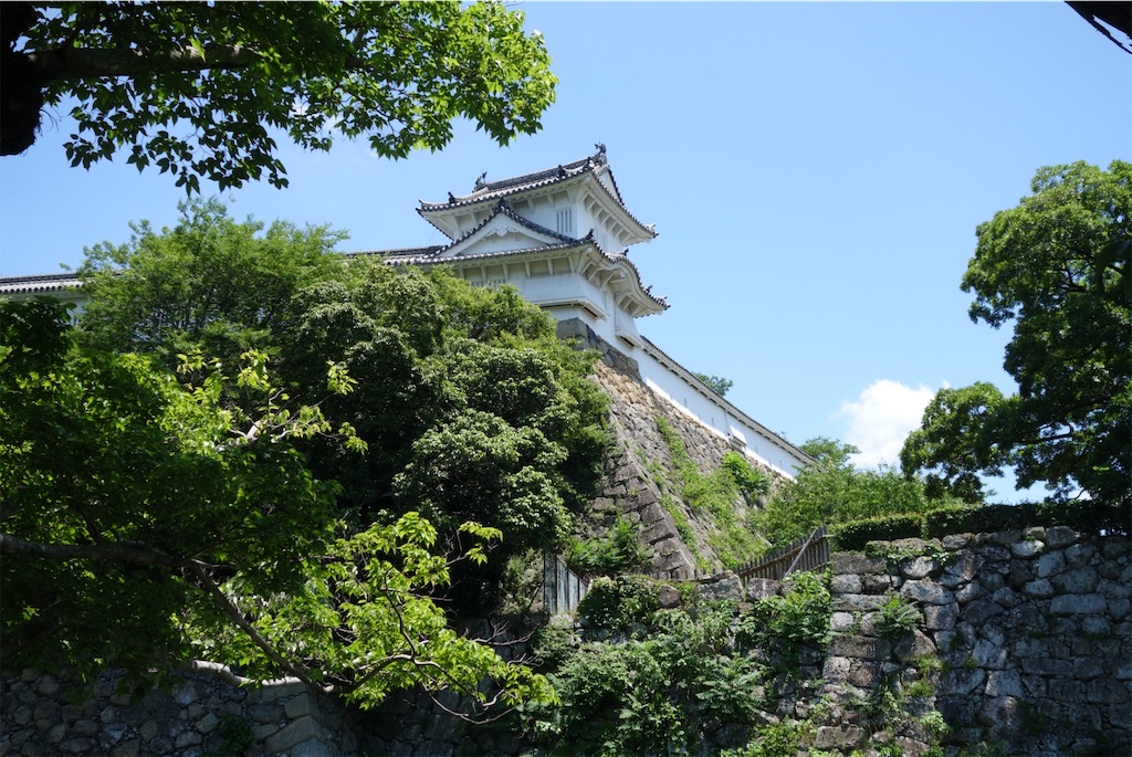 f:id:smallshade:20190618051329j:image f:id:smallshade:20190618051329j:image