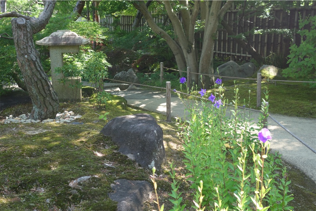 f:id:smallshade:20190618052910j:image f:id:smallshade:20190618052910j:image