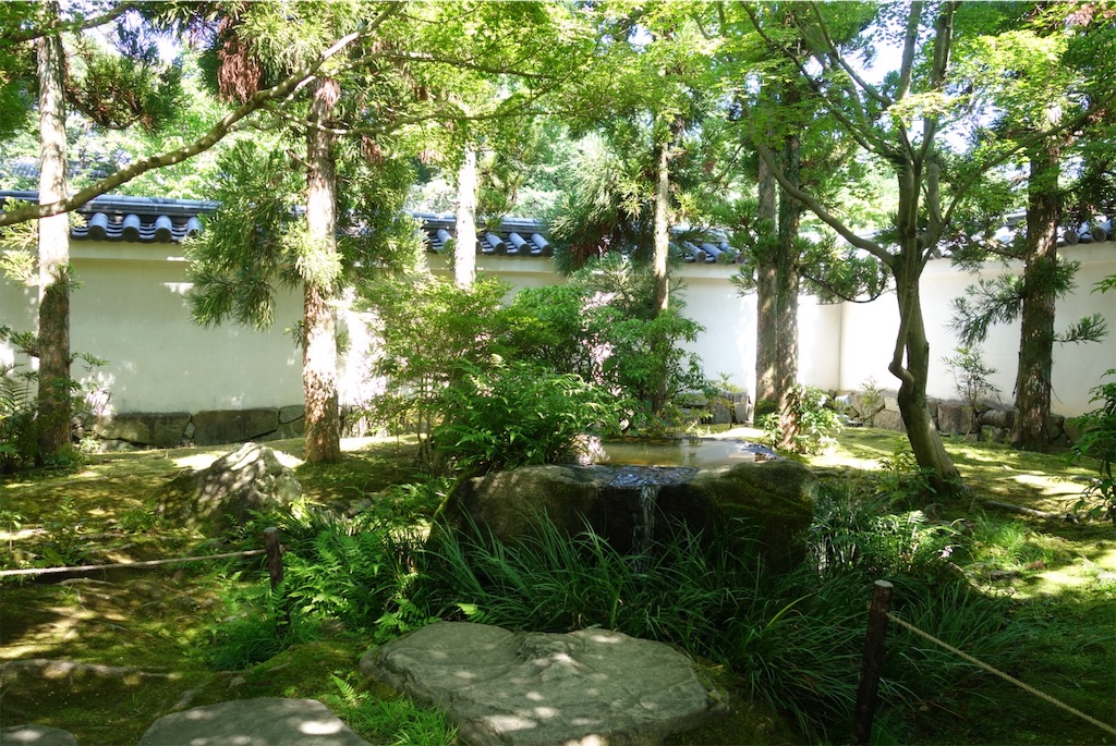 f:id:smallshade:20190618052936j:image f:id:smallshade:20190618052936j:image