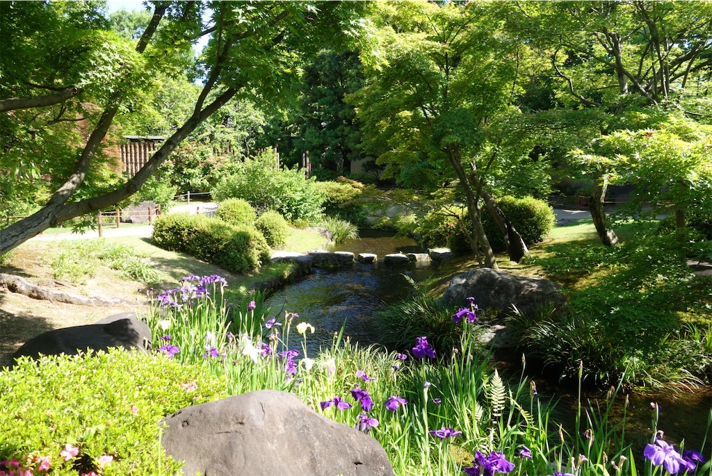 f:id:smallshade:20190618052939j:image f:id:smallshade:20190618052939j:image