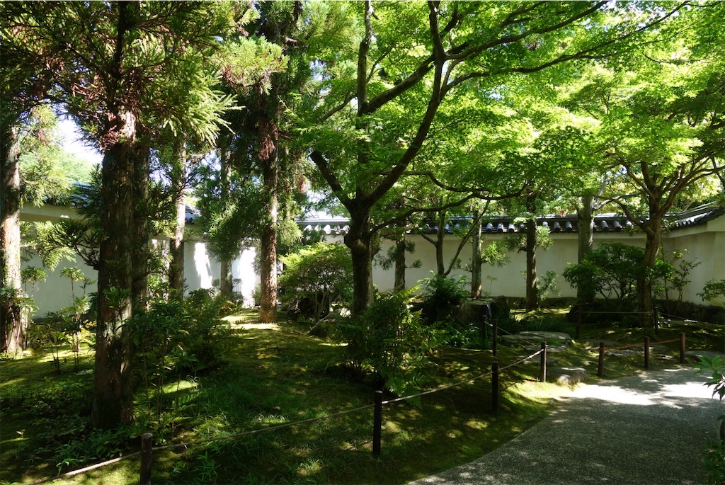 f:id:smallshade:20190618052945j:image f:id:smallshade:20190618052945j:image