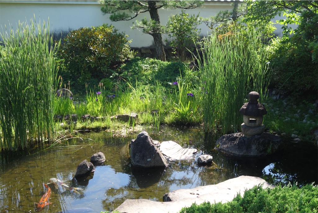 f:id:smallshade:20190618053016j:image f:id:smallshade:20190618053016j:image