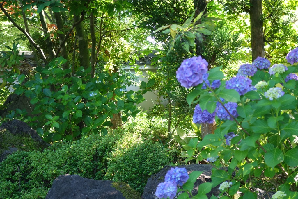 f:id:smallshade:20190618053022j:image f:id:smallshade:20190618053022j:image