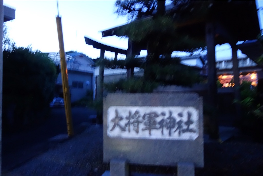 f:id:smallshade:20190618103048j:image f:id:smallshade:20190618103048j:image