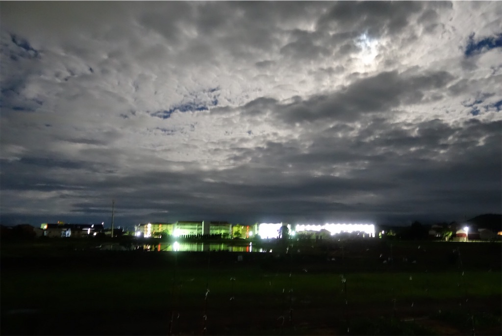 f:id:smallshade:20190618103304j:image f:id:smallshade:20190618103304j:image