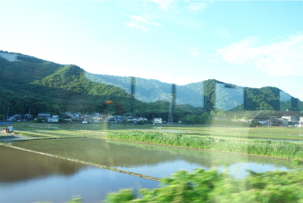 f:id:smallshade:20190619211231j:image f:id:smallshade:20190619211231j:image