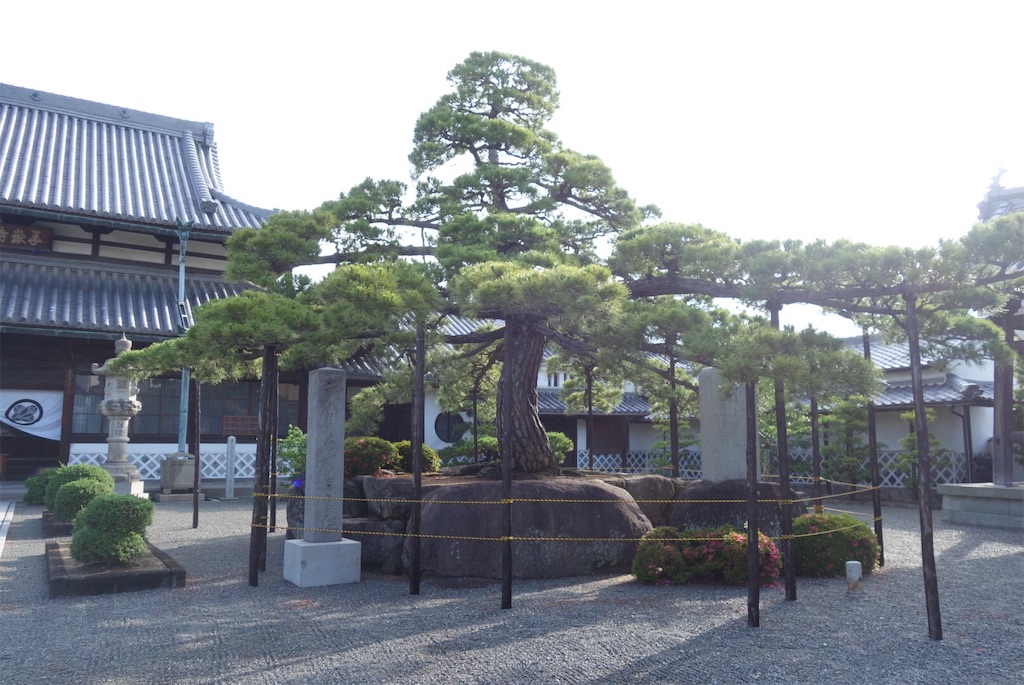 f:id:smallshade:20190619215112j:image f:id:smallshade:20190619215112j:image