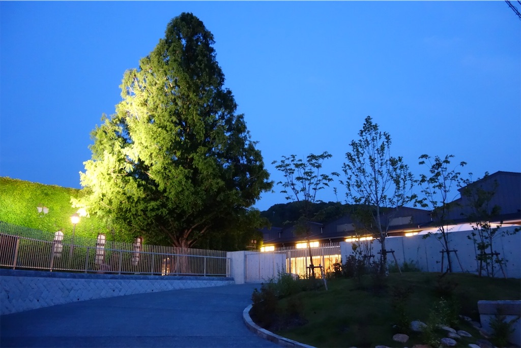 f:id:smallshade:20190624070452j:image f:id:smallshade:20190624070452j:image