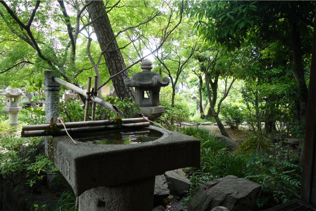 f:id:smallshade:20190624103144j:image f:id:smallshade:20190624103144j:image