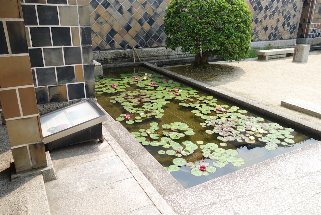 f:id:smallshade:20190624103445j:image f:id:smallshade:20190624103445j:image