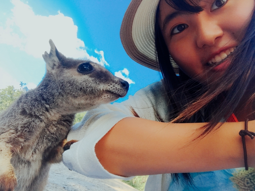 f:id:smallworld1013:20180619071643j:plain f:id:smallworld1013:20180619071643j:plain
