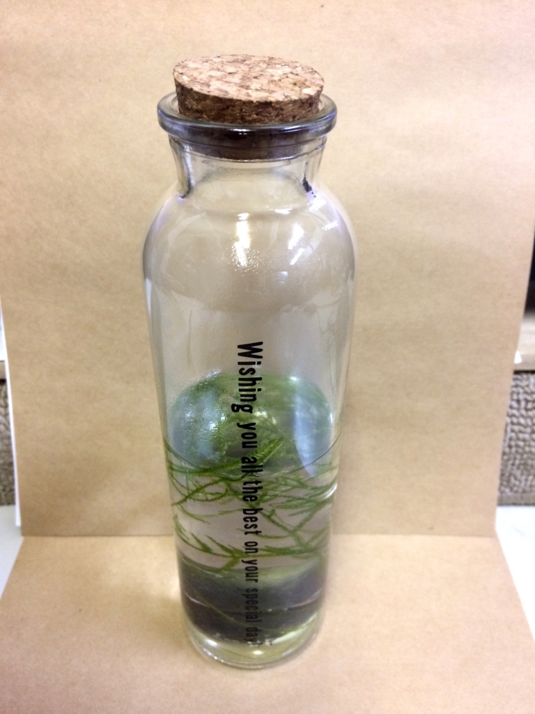 f:id:smaltblue160:20180123193454j:plain