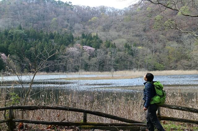 f:id:smark-71alc:20160503112401j:image