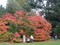 westonbirt5