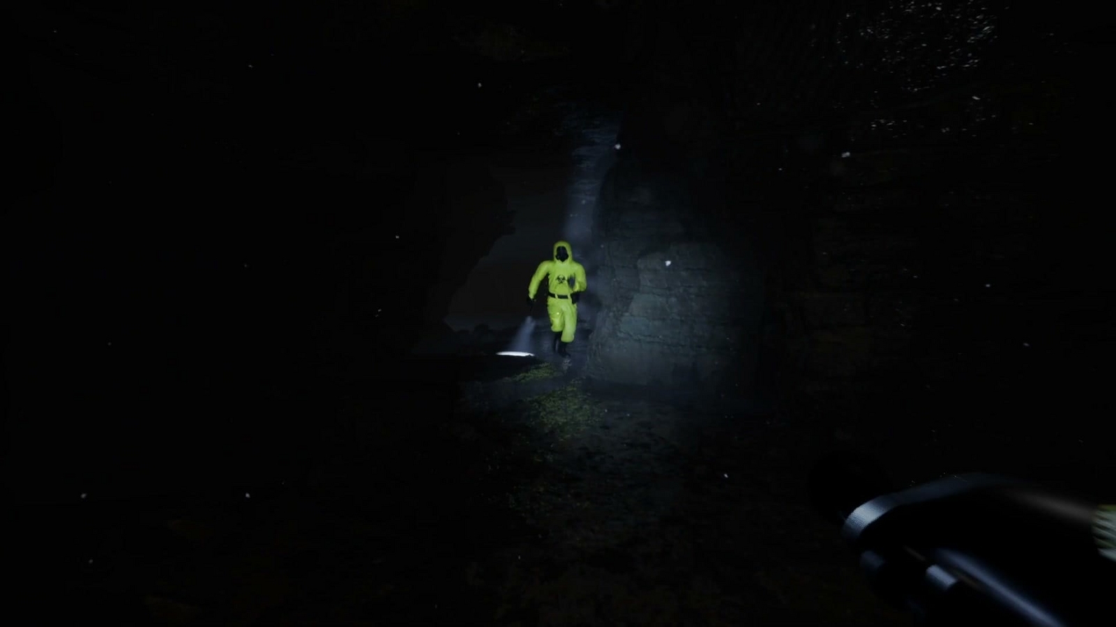 Escape_the_backrooms_level8_enemy_shapeshifter1