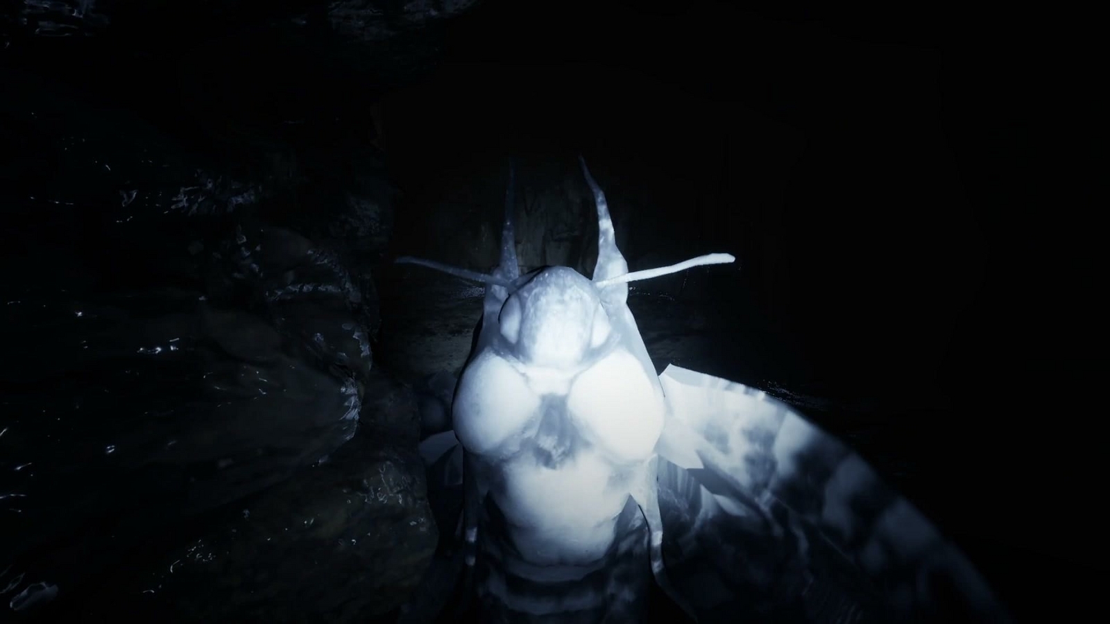 Escape_the_backrooms_level8_enemy_moth2