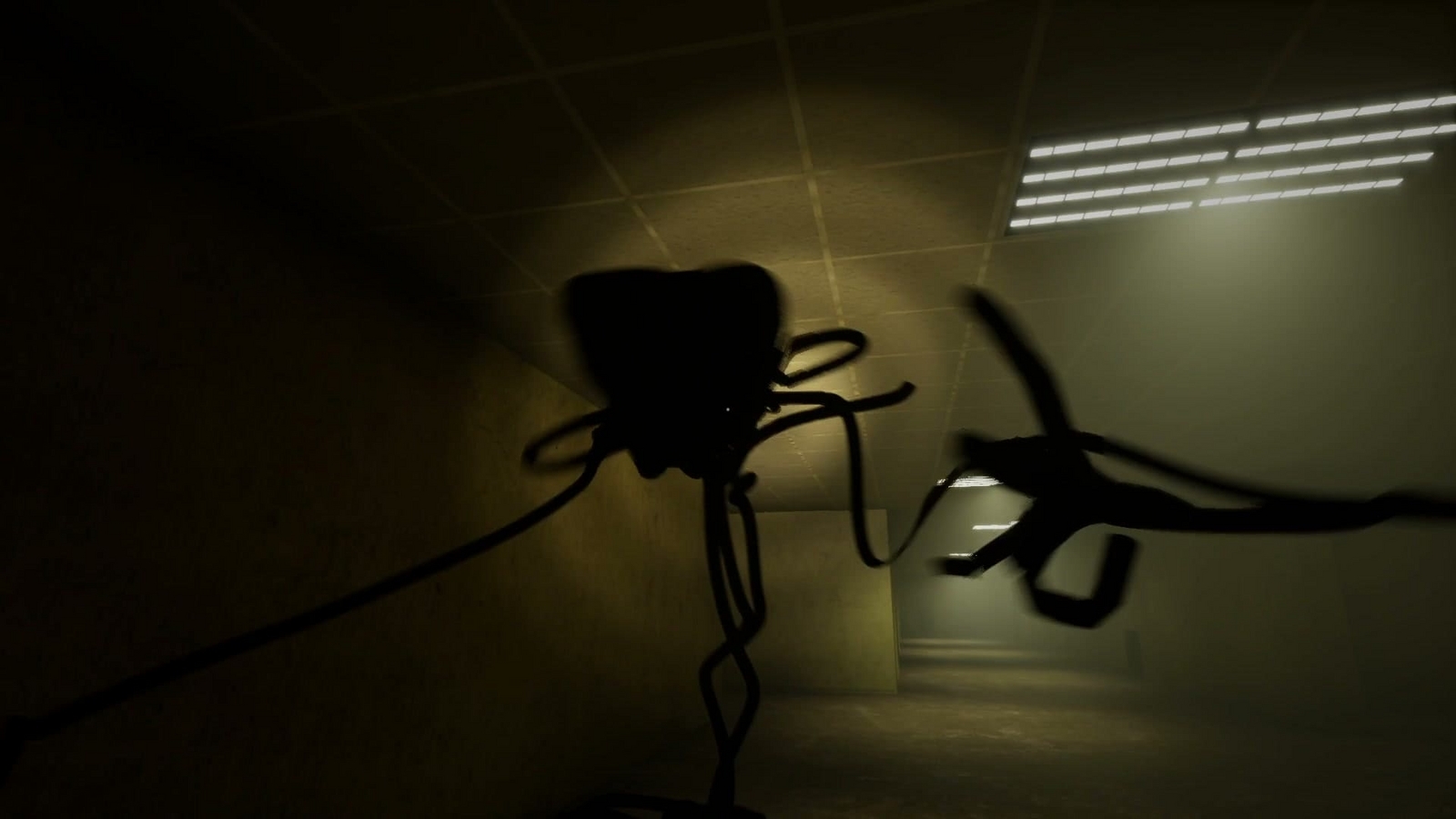 Escape_the_backrooms_level0.11_enemy