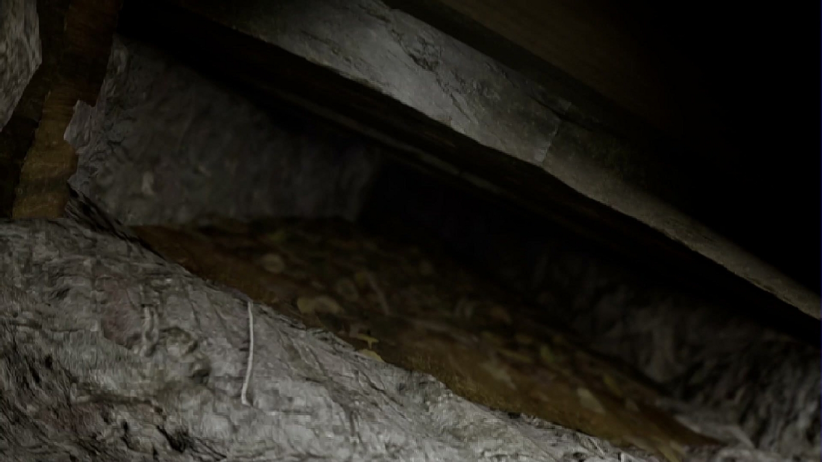 Jisatsu_under_the_floor