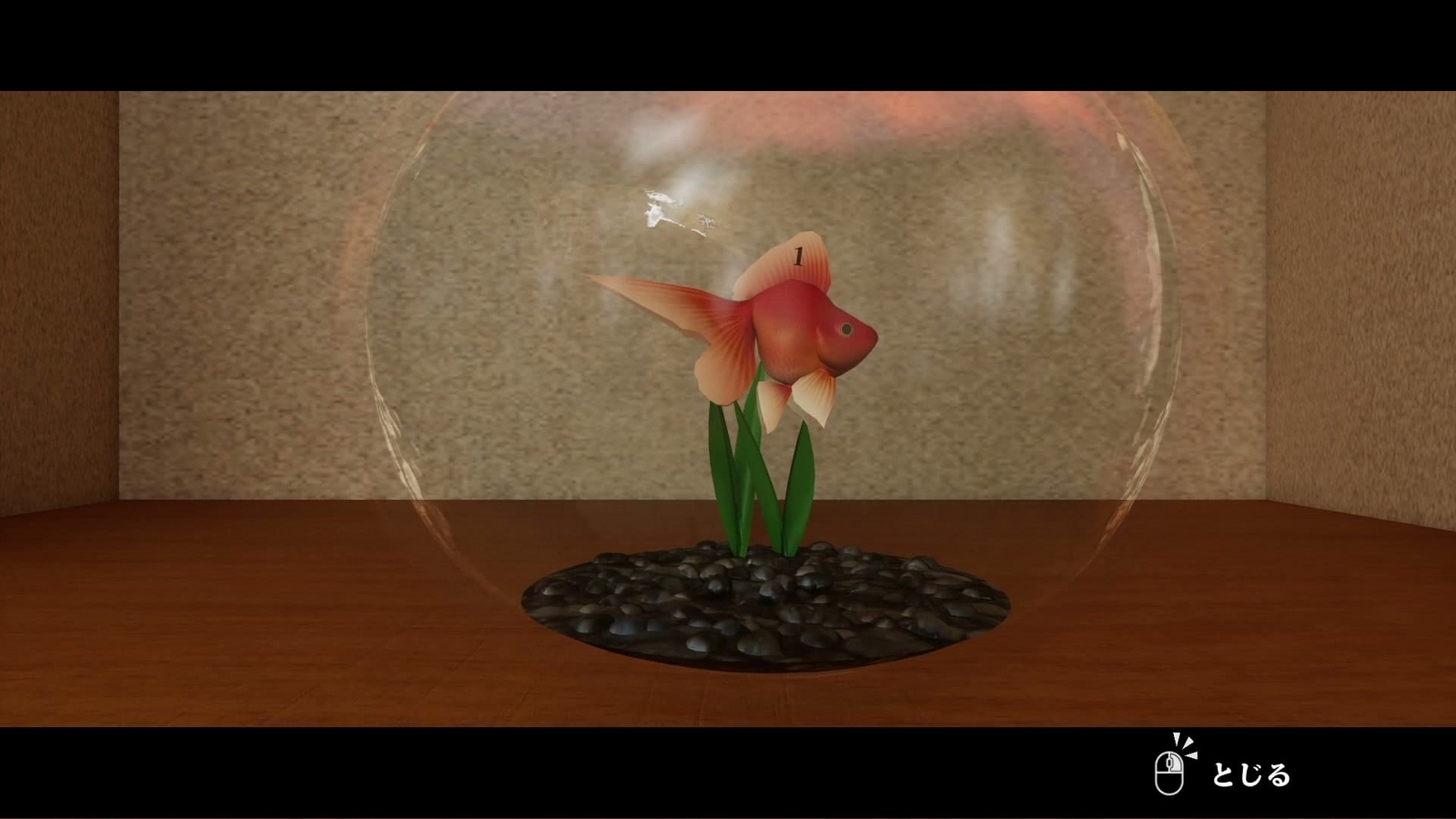 Japanese_House_Exploration_goldfish_bowl