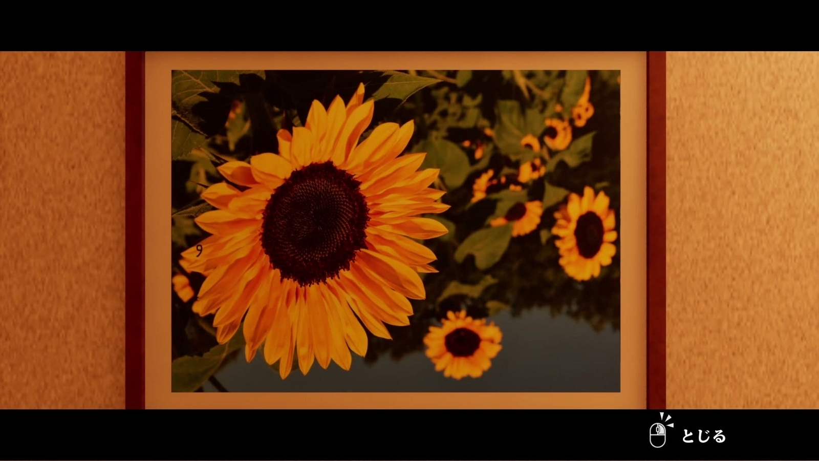 Japanese_House_Exploration_sunflower