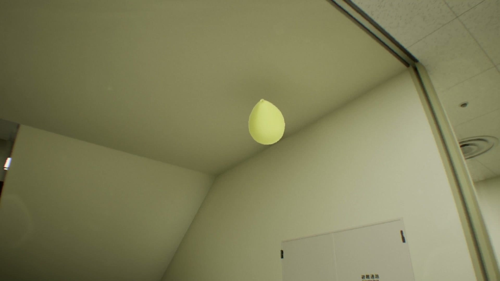 False_Mall_anomaly_1