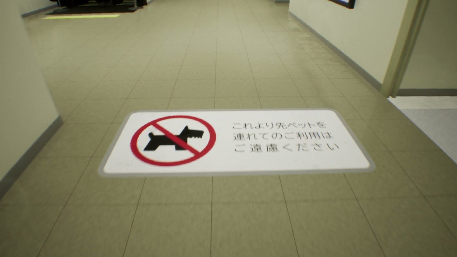 False_Mall_anomaly_6_6