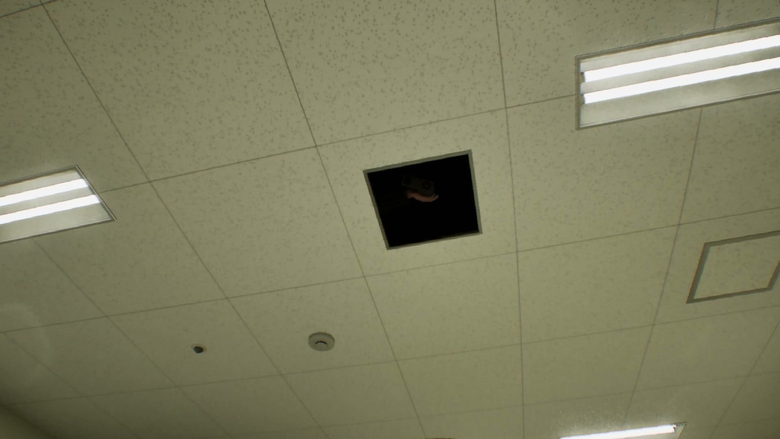 False_Mall_anomaly_8