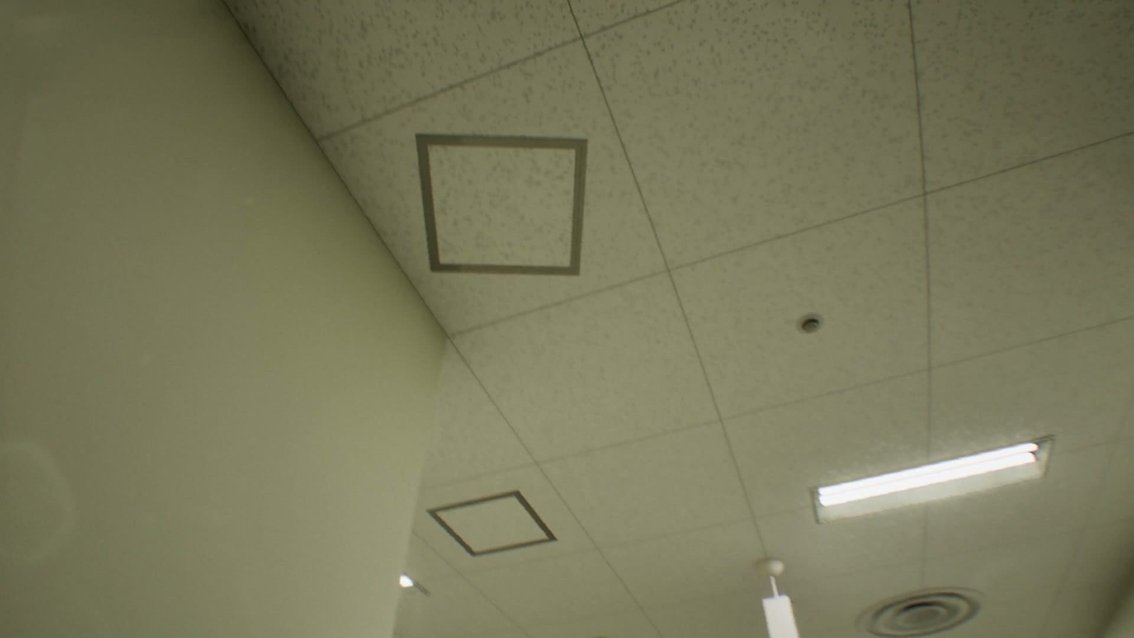 False_Mall_anomaly_9_1